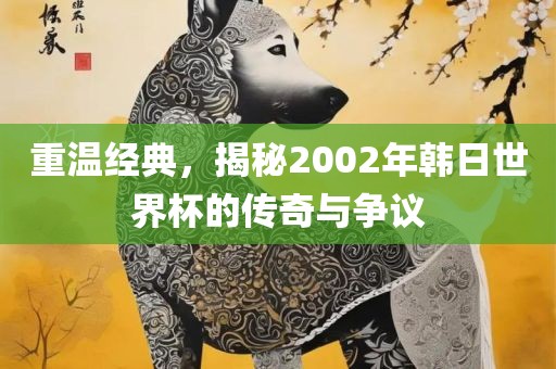 重温经典，揭秘2002年韩日世界杯的传奇与争议