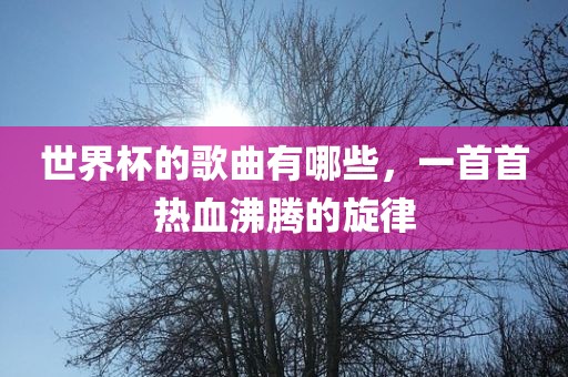 世界杯的歌曲有哪些，一首首热血沸腾的旋律