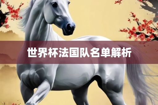 世界杯法国队名单解析常熟市高丰毛纺织品有限公司
