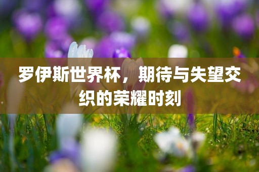 罗伊斯世界杯，期待与失望交织的荣耀时刻