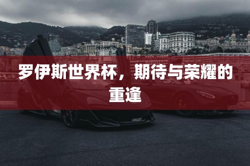 罗伊斯世界杯，期待与荣耀的重逢