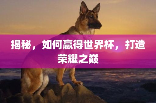 揭秘，如何赢得世界杯，打造荣耀之巅常熟市高丰毛纺织品有限公司