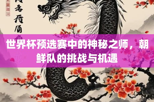 世界杯预选赛中的神秘常熟市高丰毛纺织品有限公司之师，朝鲜队的挑战与机遇