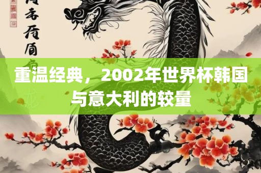 重温经典，2002年世界杯韩国与意大利的较量常熟市高丰毛纺织品有限公司