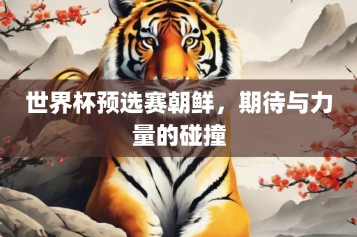 世界杯预选赛朝鲜，期待与力量的碰撞常熟市高丰毛纺织品有限公司