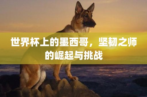 世界杯上的墨西哥，坚韧之师的崛起与挑战常熟市高丰毛纺织品有限公司