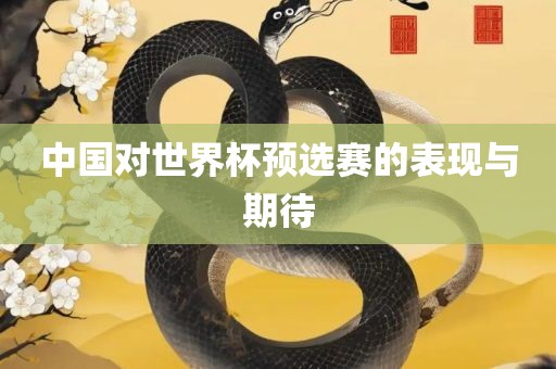 中国对世界杯预选赛的表现与期待常熟市高丰毛纺织品有限公司