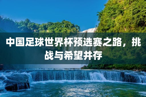 中国足球世界杯预选赛之路，挑战与希望并存