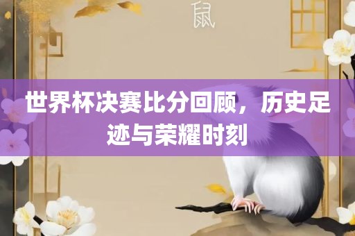 世界杯决赛比分回顾，历史足迹与荣耀时刻常熟市高丰毛纺织品有限公司