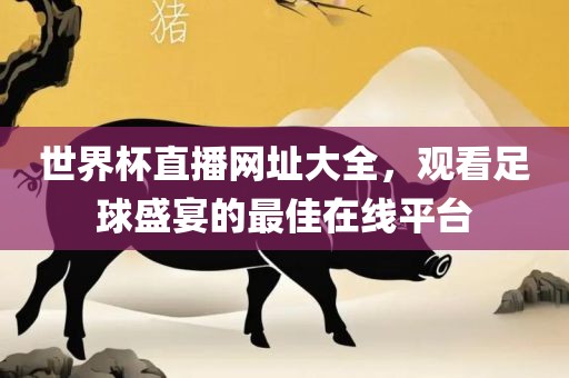 世界杯直播网址大全，观看足球盛宴的最佳在线平台常熟市高丰毛纺织品有限公司