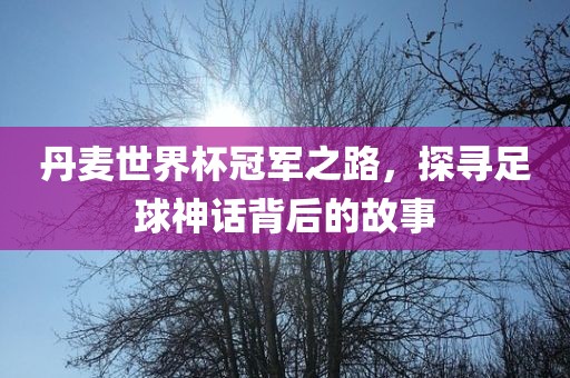 丹麦世界杯冠军之路，探寻足球神话背后的故事常熟市高丰毛纺织品有限公司