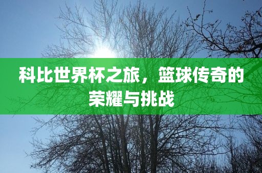 科比世界常熟市高丰毛纺织品有限公司杯之旅，篮球传奇的荣耀与挑战