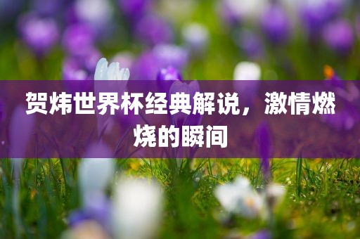 贺炜世界杯经典解说，激情燃烧的瞬间常熟市高丰毛纺织品有限公司