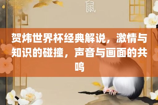贺炜世界杯经典解说，激情与知识的碰撞，声音与画面的共鸣常熟市高丰毛纺织品有限公司