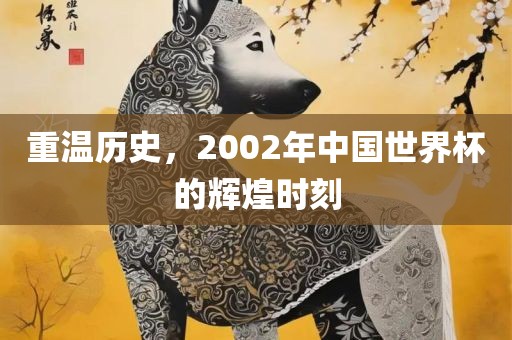 重温历史，2002年中国世界杯的辉煌时刻