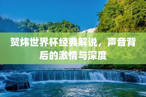 贺炜世界杯经典解说，声音背后的激情与深度常熟市高丰毛纺织品有限公司