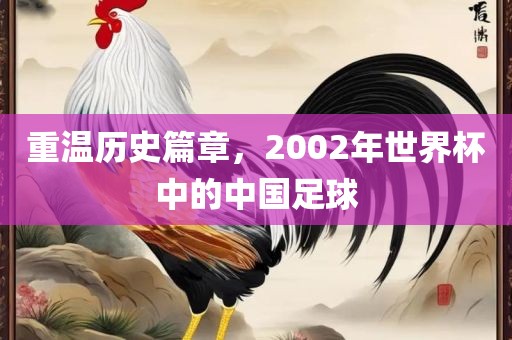重温历史篇章，2002年世界杯中的中国足球常熟市高丰毛纺织品有限公司