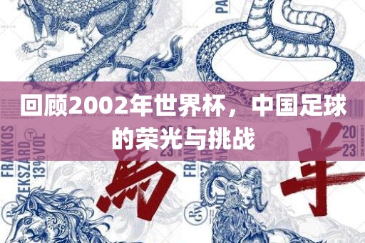 回顾2002年世界杯，中国足球的荣光与挑战