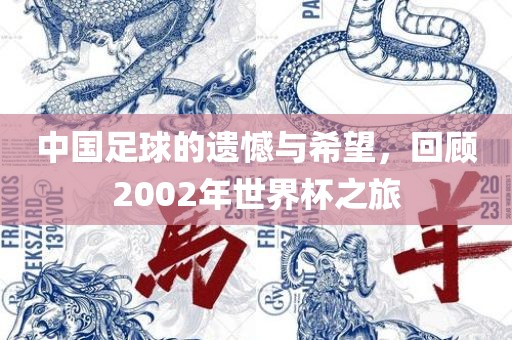 中国足球的遗憾与希望，回顾2002年世界杯之旅常熟市高丰毛纺织品有限公司