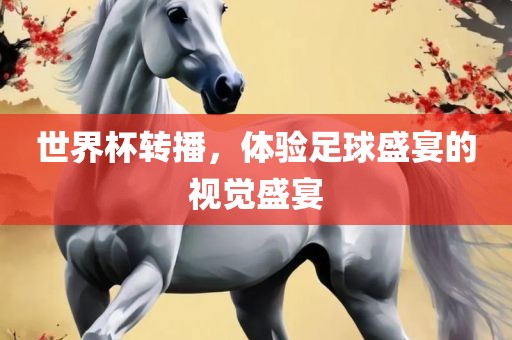 世界杯转播，体验足球盛宴的视觉盛宴