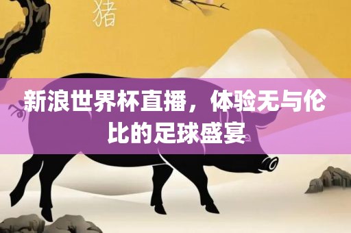 新浪世界杯直播，体验无与伦比的足球盛宴常熟市高丰毛纺织品有限公司