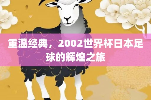 重温经典，2002世界常熟市高丰毛纺织品有限公司杯日本足球的辉煌之旅