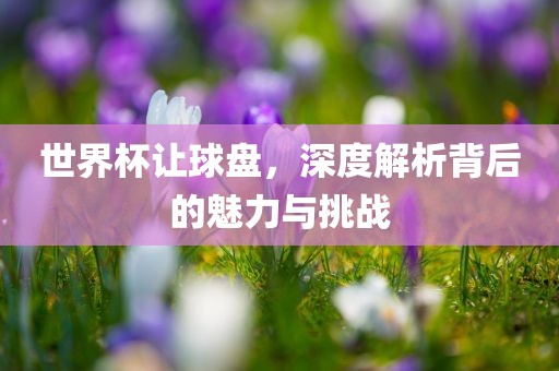 世界杯让球盘，深度解析背后的魅力与挑战