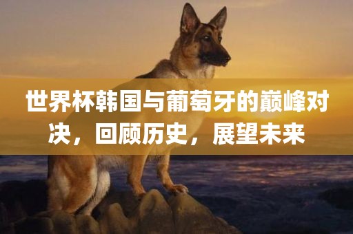 世界杯韩国与葡萄牙的巅峰对决，回顾历史，展望未来常熟市高丰毛纺织品有限公司