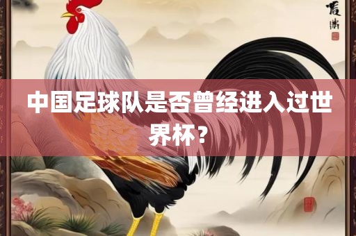 中国足球队是否曾经进入过世界杯？