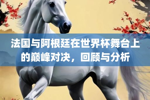 法国与阿根廷在世界杯舞台上的巅峰对决，回顾与分析常熟市高丰毛纺织品有限公司