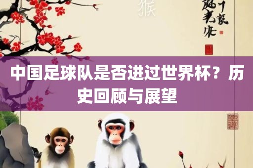 中国足球队是否进过世界杯？历史回顾与展望