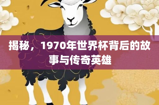 揭秘，1970年世界杯背后的故事与传奇英雄常熟市高丰毛纺织品有限公司