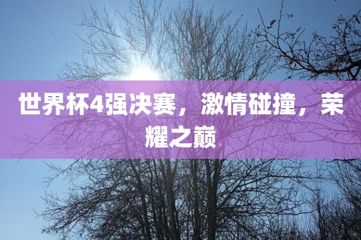 世界杯4强决赛，激情碰撞，荣耀之巅