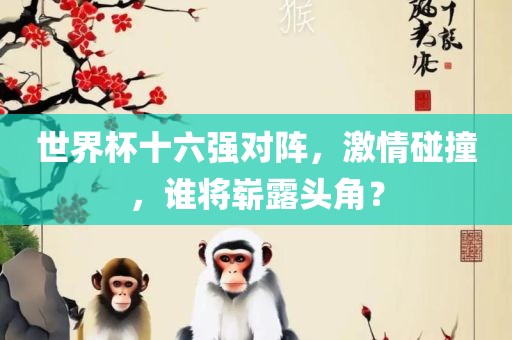 世界杯十六强对阵，激情碰撞，谁将崭露头常熟市高丰毛纺织品有限公司角？