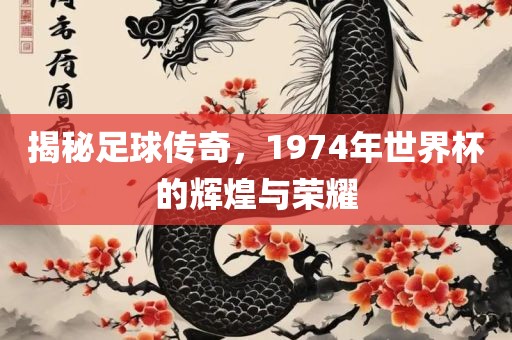 揭秘足球传奇，1974年世界杯的辉煌与荣耀