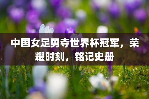 中国女足勇夺世界杯冠军，荣耀时刻，铭记史常熟市高丰毛纺织品有限公司册