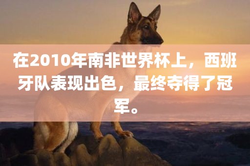 在2010年南非世界杯上，西班牙队表现出色常熟市高丰毛纺织品有限公司，最终夺得了冠军。