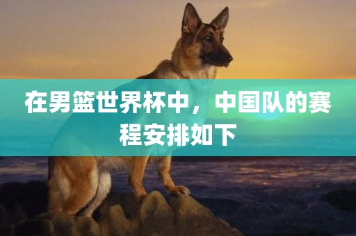 在男篮世界杯中，中国队的赛程安排如下