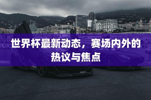 世界杯最新动态，赛场内外的热议与焦点常熟市高丰毛纺织品有限公司
