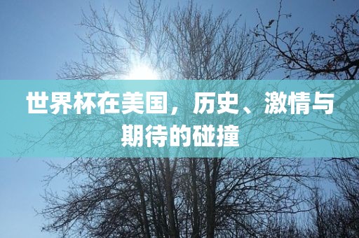 世界杯在美国，历史、激常熟市高丰毛纺织品有限公司情与期待的碰撞