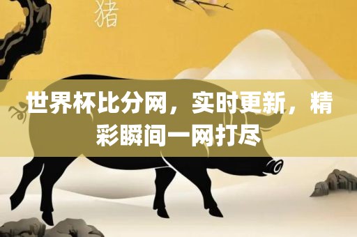 世界杯比分网，实时更新，精彩瞬间一网打尽