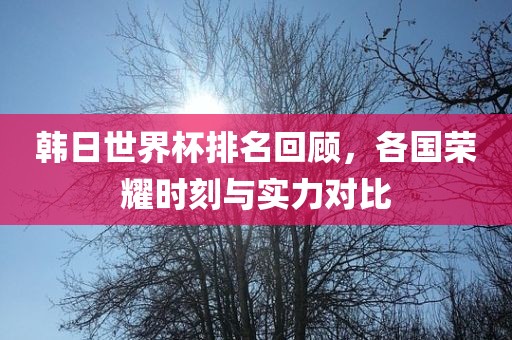 韩日世界杯排常熟市高丰毛纺织品有限公司名回顾，各国荣耀时刻与实力对比