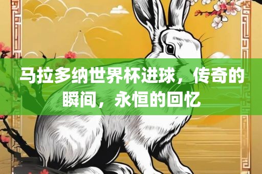 马拉多纳世界杯进球，传奇的瞬间，永恒的回忆常熟市高丰毛纺织品有限公司