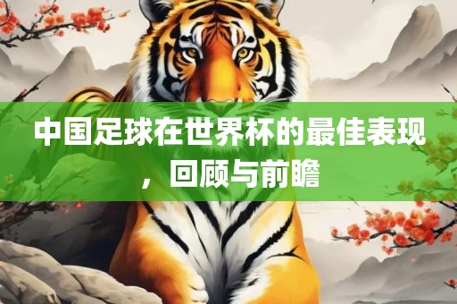 常熟市高丰毛纺织品有限公司中国足球在世界杯的最佳表现，回顾与前瞻
