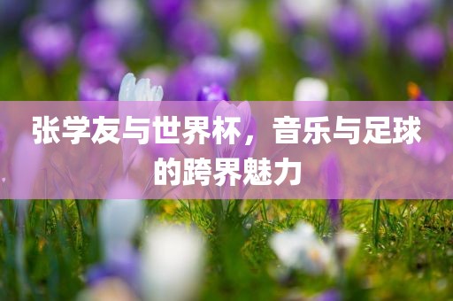 张学友与世界杯，音乐与足球的跨界魅力