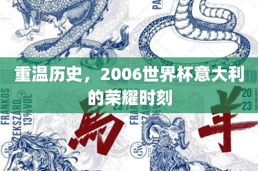 重温历史，2006世界杯意大利的荣耀时刻常熟市高丰毛纺织品有限公司