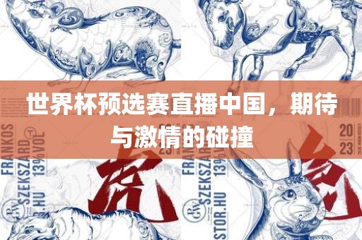 世界杯预选赛直播中国，期待与激情的碰撞