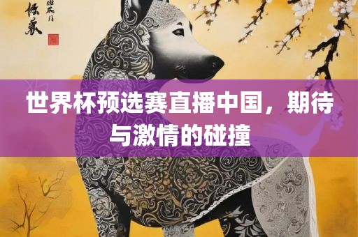世界杯预选赛直播中国，期待与激情的碰撞
