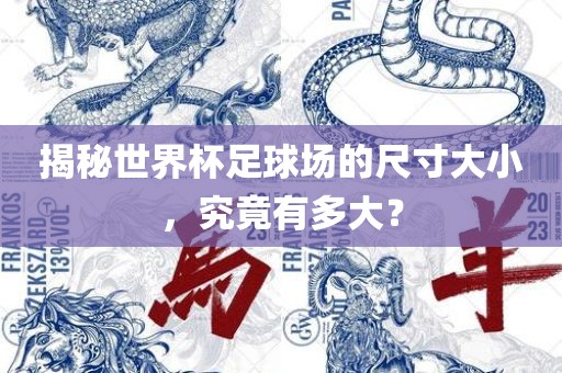 揭秘世界杯足常熟市高丰毛纺织品有限公司球场的尺寸大小，究竟有多大？