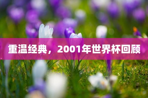 重温经典，2001年世界杯回顾